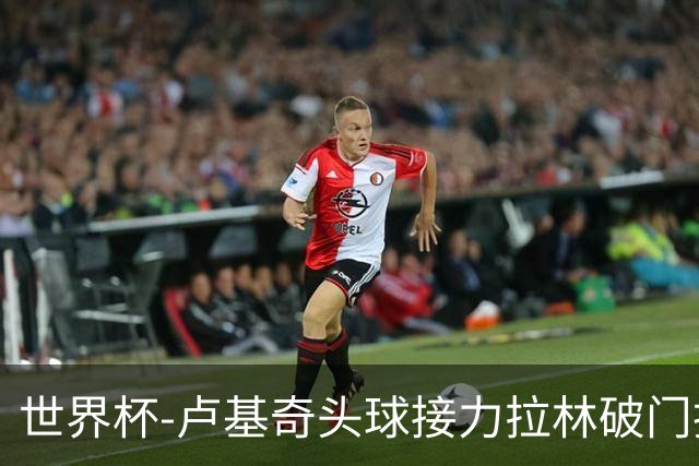 世界杯-卢基奇头球接力拉林破门扳平 加拿大1-1波黑